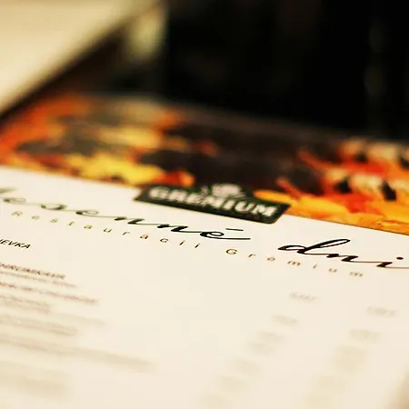 吉瑞米姆宾馆 布拉迪斯拉发